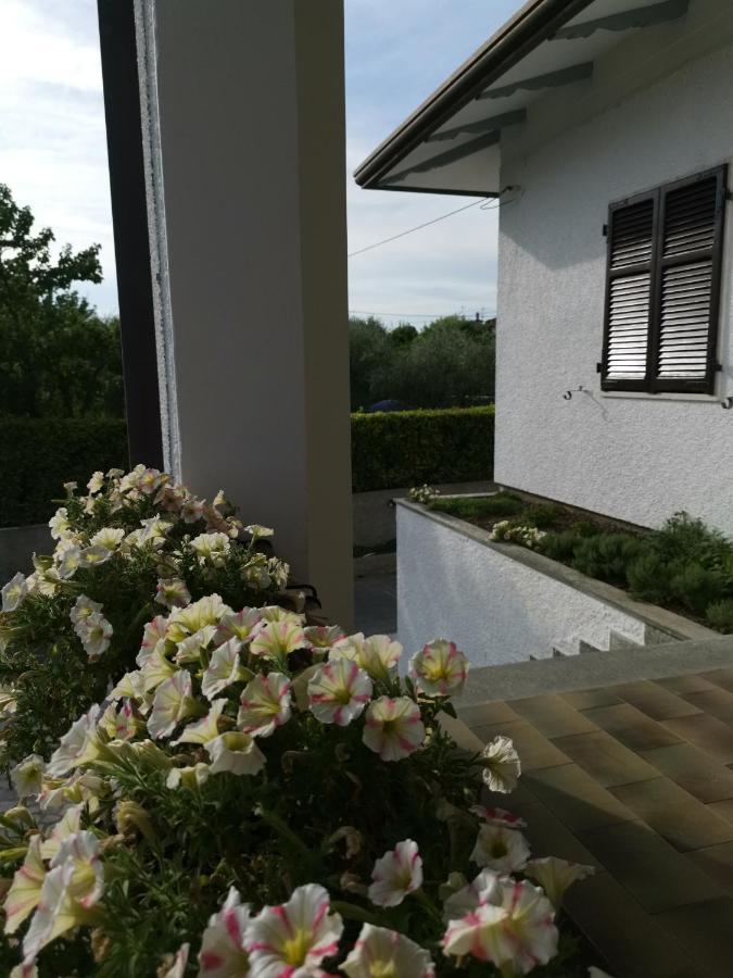 Villa Flora Affittacamere Luni エクステリア 写真